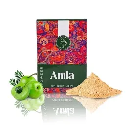 proszek-amla-naturalny-do-wlosow-i-skory-regeneracja-wzmocnienie-do-domu