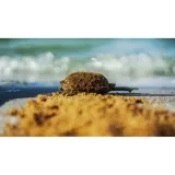 zaneta-method-do-metody-feeder-osmo-csuperl-waga-z-opakowaniem-1-kg
