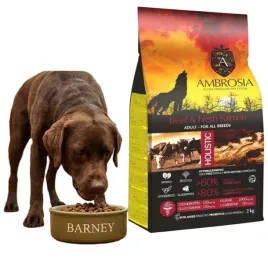 wolowina-ze-swiezym-lososiem-2kg-lsniaca-siersc-karma-sucha-ambrosia