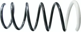 994-631-sac-sprezyna-zaw-dacia-t-duster-1-5d-1-6-06-10-