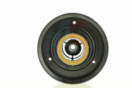 ac-06zx05-sprzeglo-kompresora-klimatyzacji-zexel-dcs-17e-v6-114-110mm