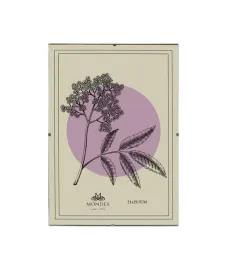 adi-ramka-21x297-cm-antyrama