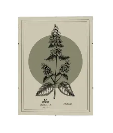 adi-ramka-30x40-cm-antyrama