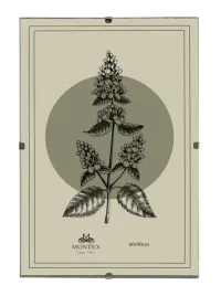 adi-ramka-60x90-cm-antyrama