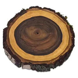 plastry-drewna-orzech-krazki-olejowane-z-kora-18-22-cm-gr-2-cm