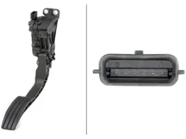 6pv010946-201-pedal-gazu-renault-twingo-07-