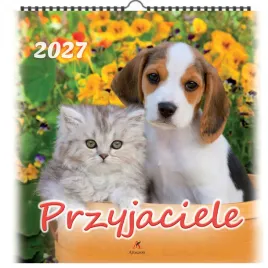 kalendarz-przyjaciele-2027-33x33-cm-wieloplanszowy-scienny-na-spirali