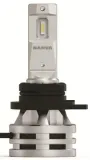 zarowki-narva-hir2-led-6000k-range-performance-moc-24-w