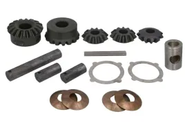 zestaw-naprawczy-mechanizmu-roznicowego-pasuje-do-carraro