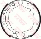 szczeki-ham-trw