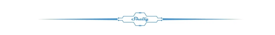 2x-shelly-i4-gen3