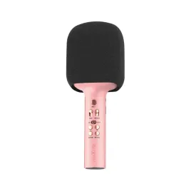 2x-mikrofon-z-glosnikiem-dla-dzieci-do-karaoke-z-funkcja-echo