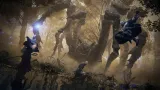 2x-gra-ps5-playstation-elden-ring-nightreign-platforma-ps5