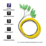 2x-12-x-pigtail-sc-apc-singlemode-g652d-2m-kod-producenta-54361