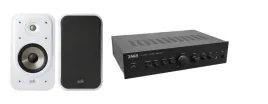 2x-taga-harmony-ta-250mic-v-2-kolumny-polk-es20