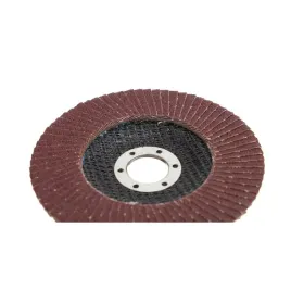 2x-tarcza-do-szlifowania-drewna-metalu-rdzy-125mm-lamelka-listkowa-p120-10s