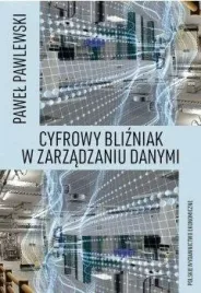 cyfrowy-blizniak-w-zarzadzaniu-danymi
