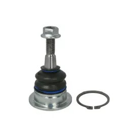 sworzen-wahacza-przod-delphi-tc2425