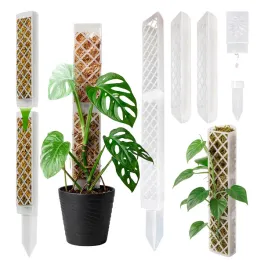 palik-do-roslin-pnacych-225cm-podpora-wypelniana-mechem-wloknem-kokosowym