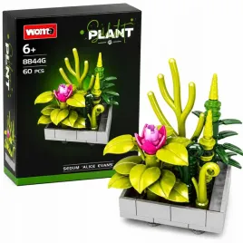 zestaw-klockow-woma-seria-sukulent-plant-kwiat-rozchodnik-alice-evans