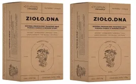 herbatka-ziolowa-ziolo-dna-fix-zielarzpolski-x-2