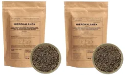 niepokalanek-owoc-100g-zielarzpolski-x-2