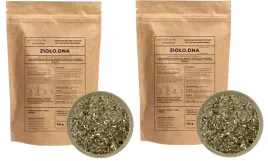 ziolo-dna-herbatka-ziolowa-100g-zielarzpolski-x-2