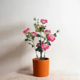 sztuczne-drzewka-piwonii-70cm