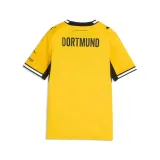 bvb-home-kod-producenta-784091001fasteryell