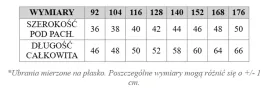 2-pak-t-shirt-koszulka-bluzka-chlopieca-bawelniana-z-nadrukiem-140