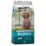 migos-puppy-20kg