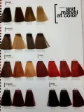 eslabondexx-color-100ml-9-13-stan-nowy