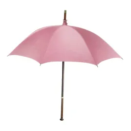 the-noble-collection-harry-potter-replika-parasolki-hagrida-rozdzka