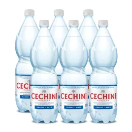 6x-woda-niskonasycona-cechini-muszyna-wysokozmineralizowana-175l-kaucja