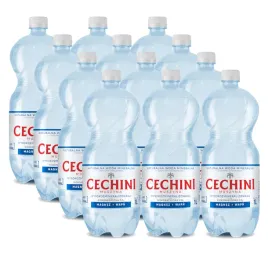 12x-woda-niskonasycona-cechini-muszyna-wysokozmineralizowana-1l-kaucja