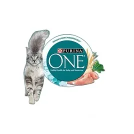 purina-one-bifensis-indoor-karma-dla-kotow-domowych-z-indykiem-800g