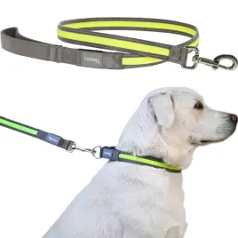kerbl-pet-light-and-reflex-solidna-smycz-podswietlana-led-dla-psa-250cm-25mm
