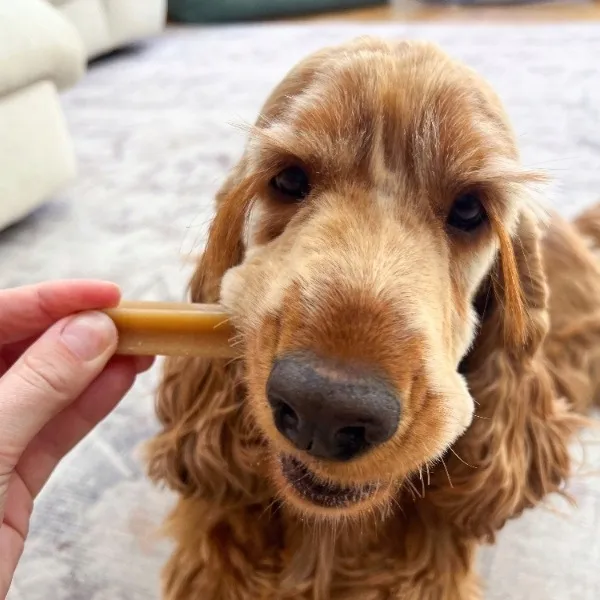 pedigree-dentastix-przysmaki-dentystyczne-dla-psa-srednie-rasy-3-szt-rodzaj-kabanosy-i-paluszki