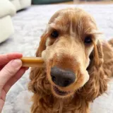 pedigree-dentastix-przysmaki-dentystyczne-dla-psa-srednie-rasy-3-szt-rodzaj-kabanosy-i-paluszki