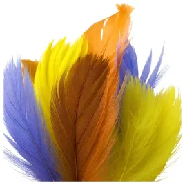 piorka-dekoracyjne-w-torebce-piora-ozdobne-kolorowe-puch-dekoracyjny