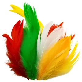 piorka-w-torebce-puch-dekoracyjny-piora-mix-kolorow-do-dekoracji-ozdobne