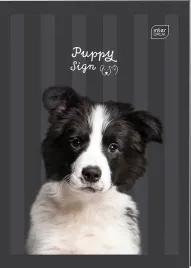 zeszyt-a4-32k-krat-70g-puppy-sign-interdruk