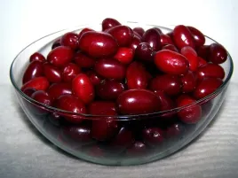 deren-jadalny-swietljaczok-60-80cm-c2