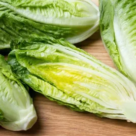 salata-rzymska-parris-island-cos-samo-zdrowie-nasiona-1-g