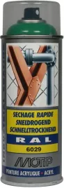 lakier-akrylowy-w-sprayu-ral-6029-zielony-mieteto
