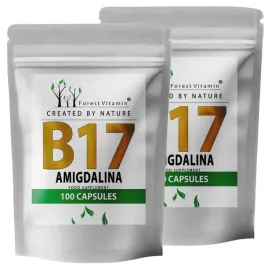 b17-amigdalina-forest-vitamin-100-kaps-ekstrakt-z-pestek-gorzkiej-moreli-x2