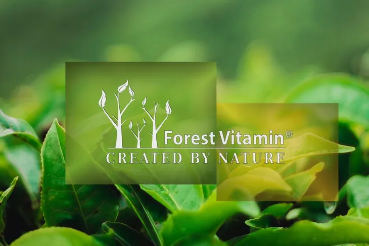 matcha-forest-vitamin-36-g-waga-36-g