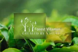matcha-forest-vitamin-36-g-waga-36-g