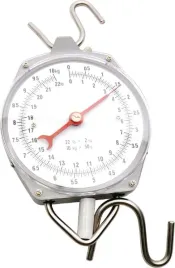 waga-zegarowa-zawieszana-10-kg-486781
