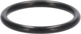 pierscien-uszczelniajacy-o-ring-31-7-mm-920552211